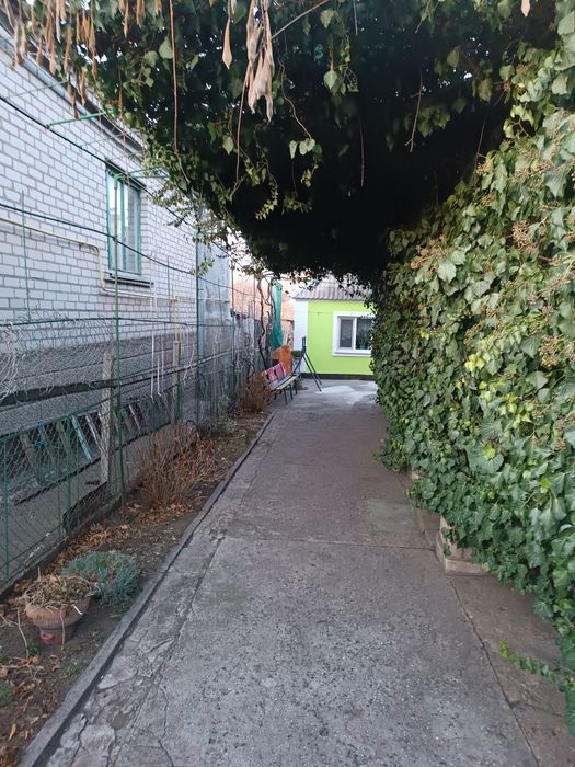 Продаю шикарный добротный дом с летней кухней и большим виноградником