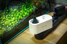 WATOMIERZ programator czasowy TUYA SMART WiFi podwójne gniazdo