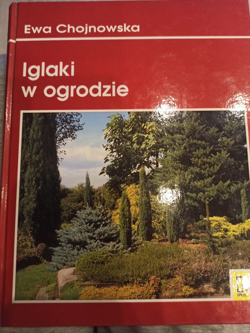 Iglaki w ogrodzie tuja żywotnik świerk