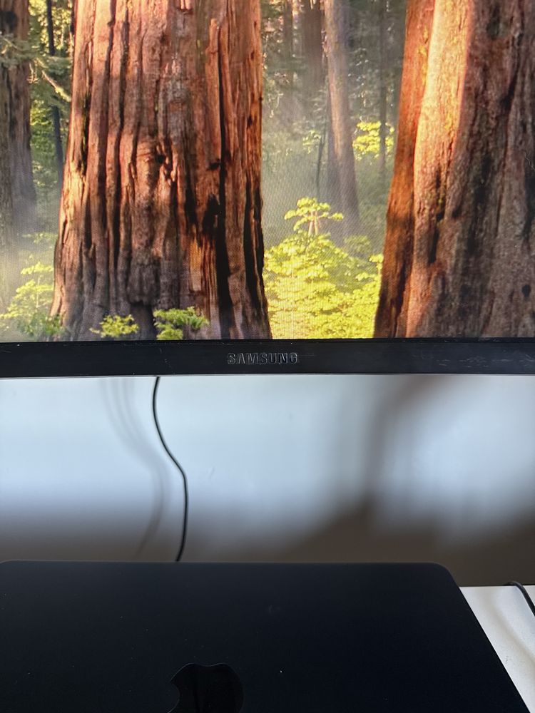 Monitor Samsung 49”