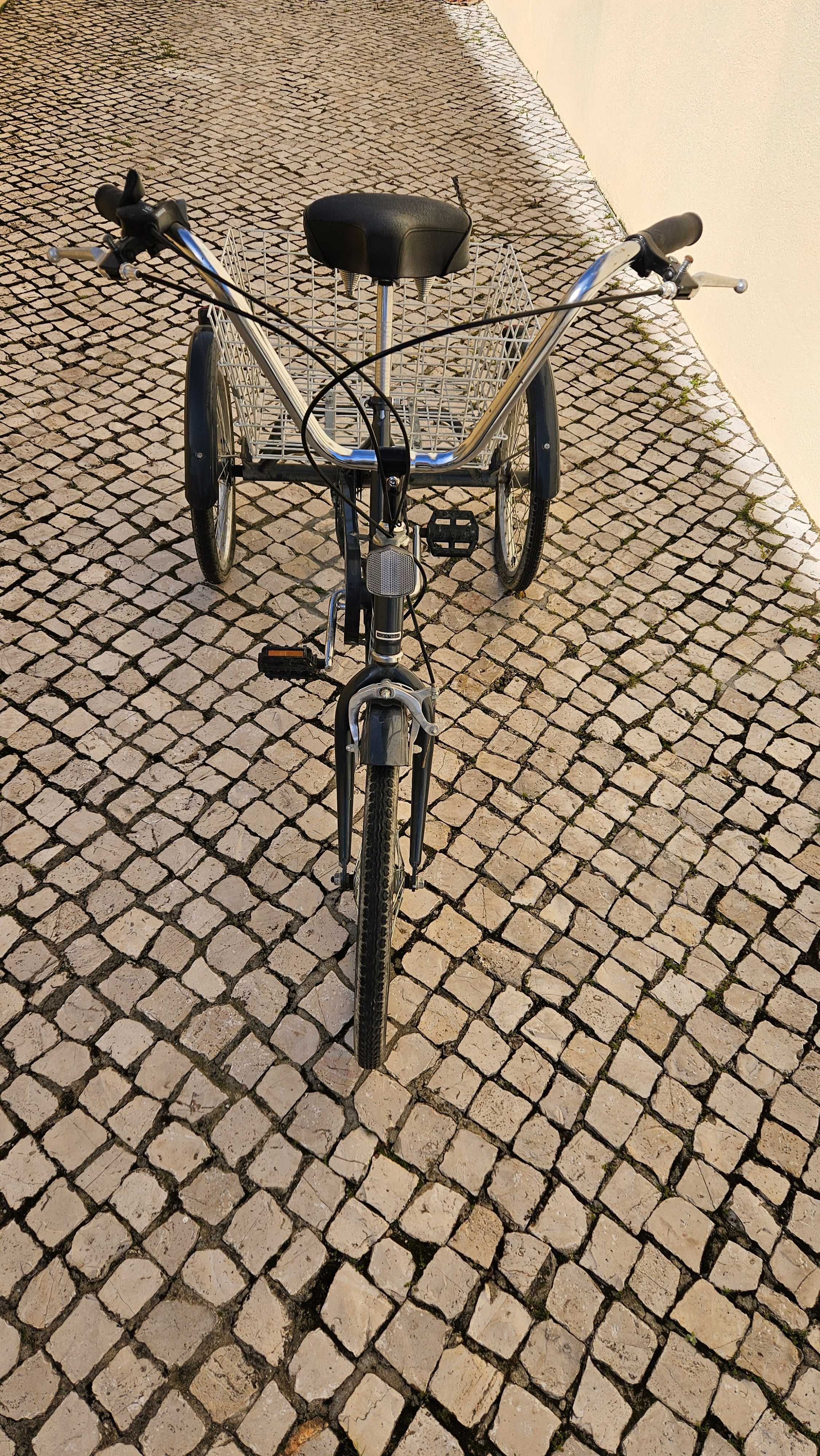 Bicicleta de adulto com 3 rodas