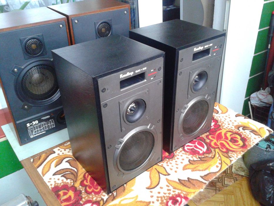 Акустика 10 АС-232 "Клівер".