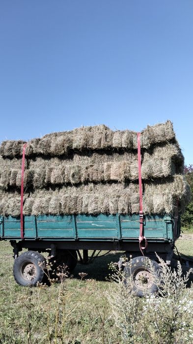 Продам тюки сіна!