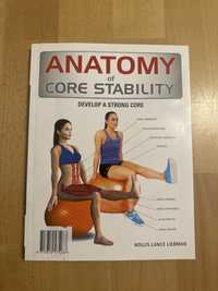 Książka Anatomy of core stability