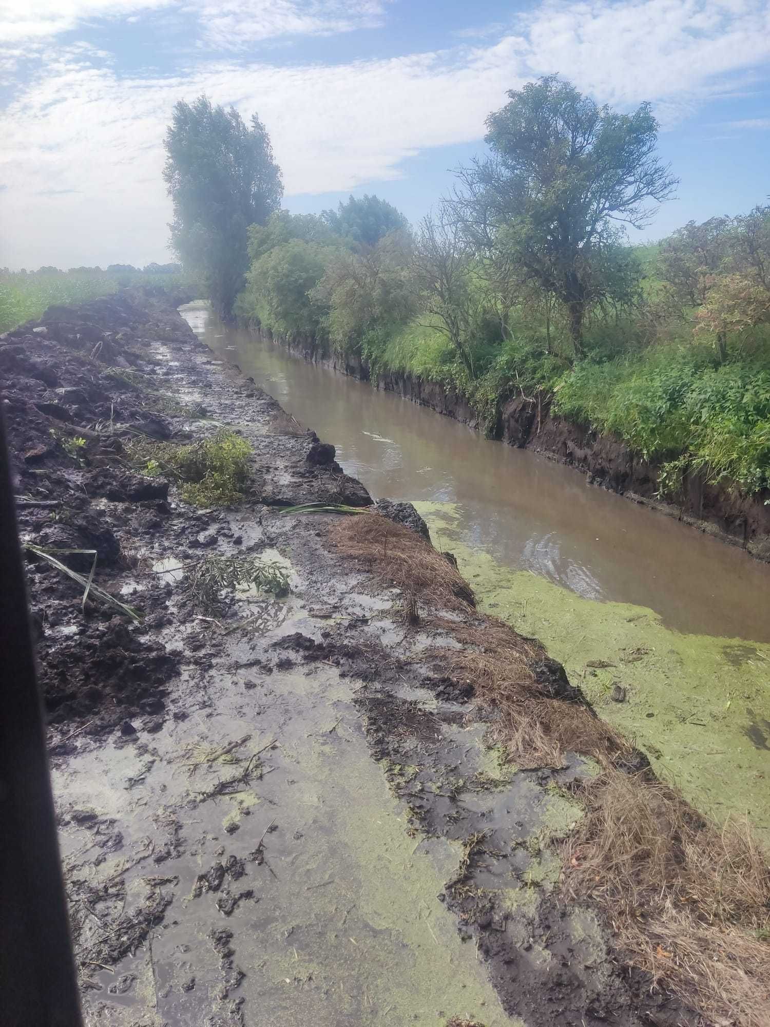 Koparko ładowarka, glebogryzarka separacyjna, rębak, mulczer, wywrotka