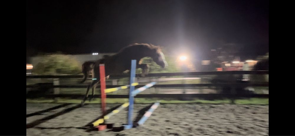 przyszlosciowy walach