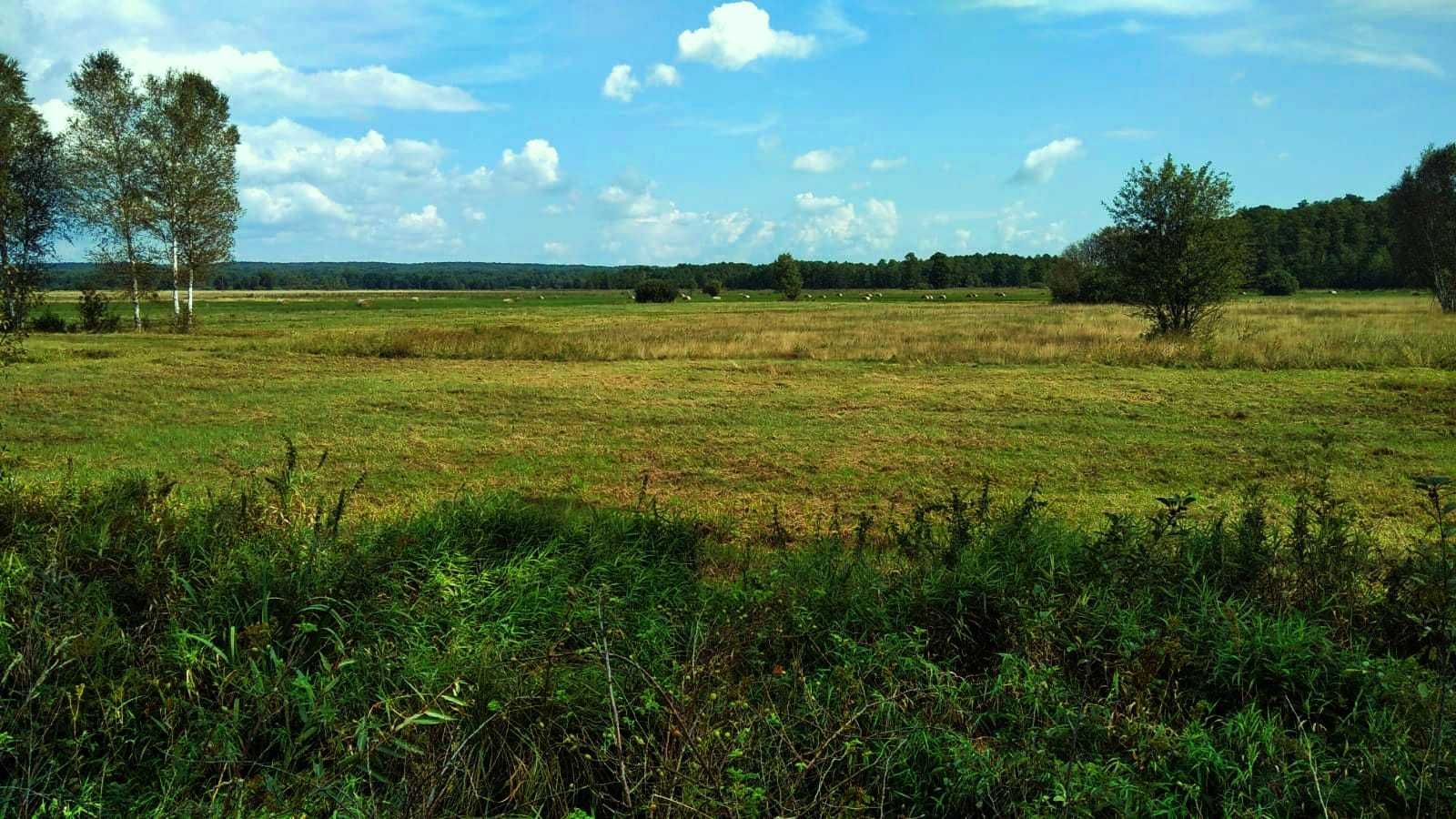 Działka rolno-budowlana 6700 m