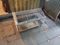 Klatka dla królika