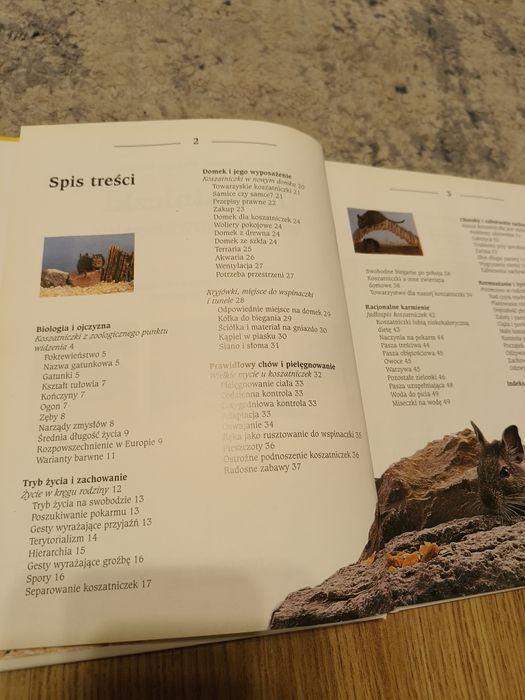 Książka koszatniczki wesołe i towarzyskie