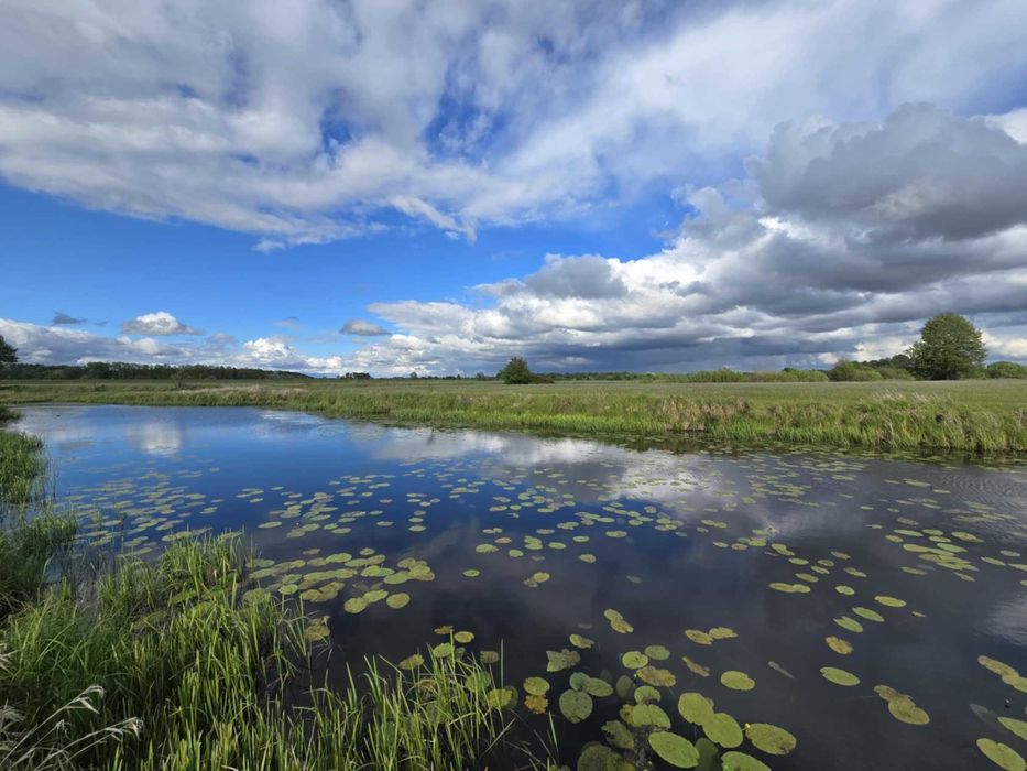 Działka rekreacyjna nad Bugiem 4300m2