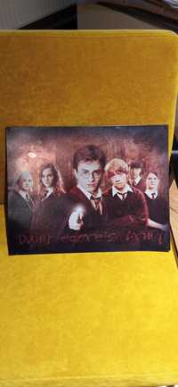 Plakat metalowy Harry Potter