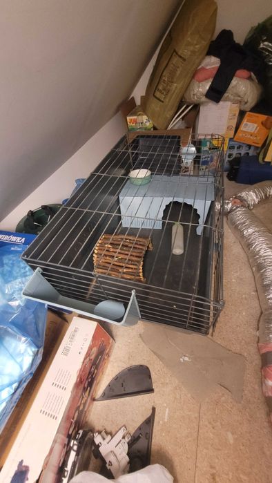 Klatka do swinki morskiej, królika