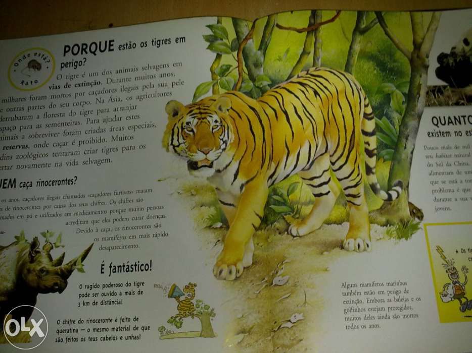 Coleção Vamos Perguntar 3 volumes