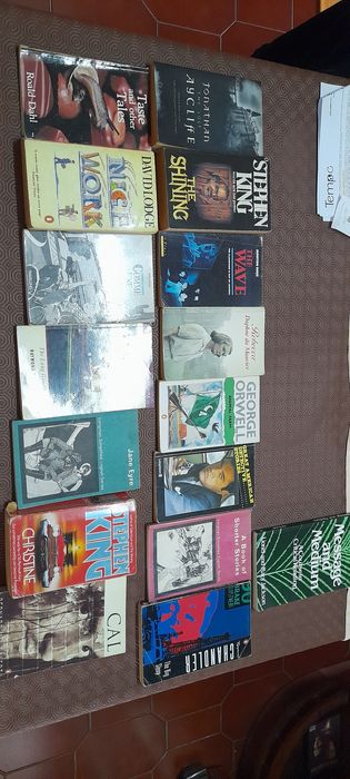 Vários livros de literatura inglesa e francesa