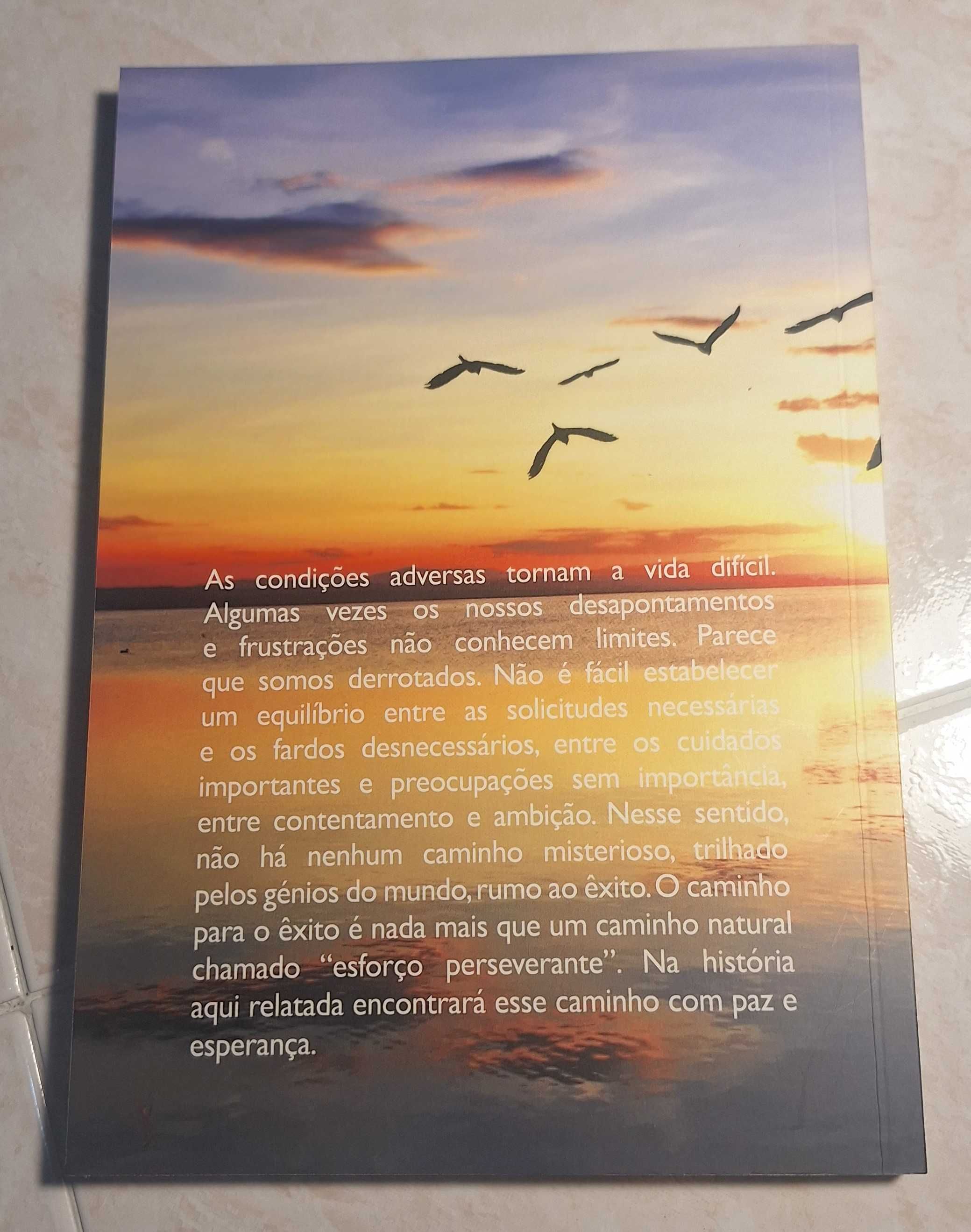 Tenha Paz - Como Encontrar a Paz Interior II