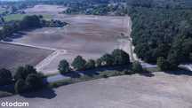 Działka z potencjałem  przy lesie-1649m2 , WZ  , BEZPOŚREDNIO!