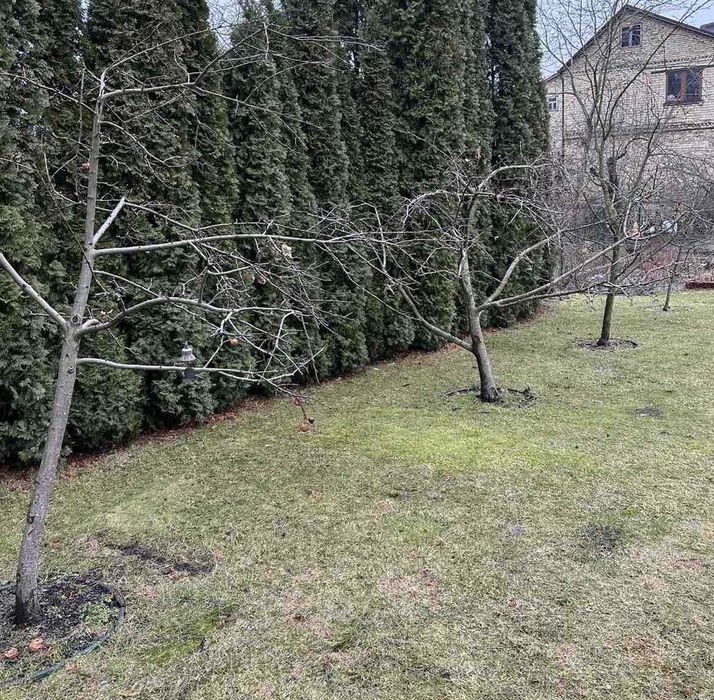 Покос травии,спил дерев, обрізка плодових,