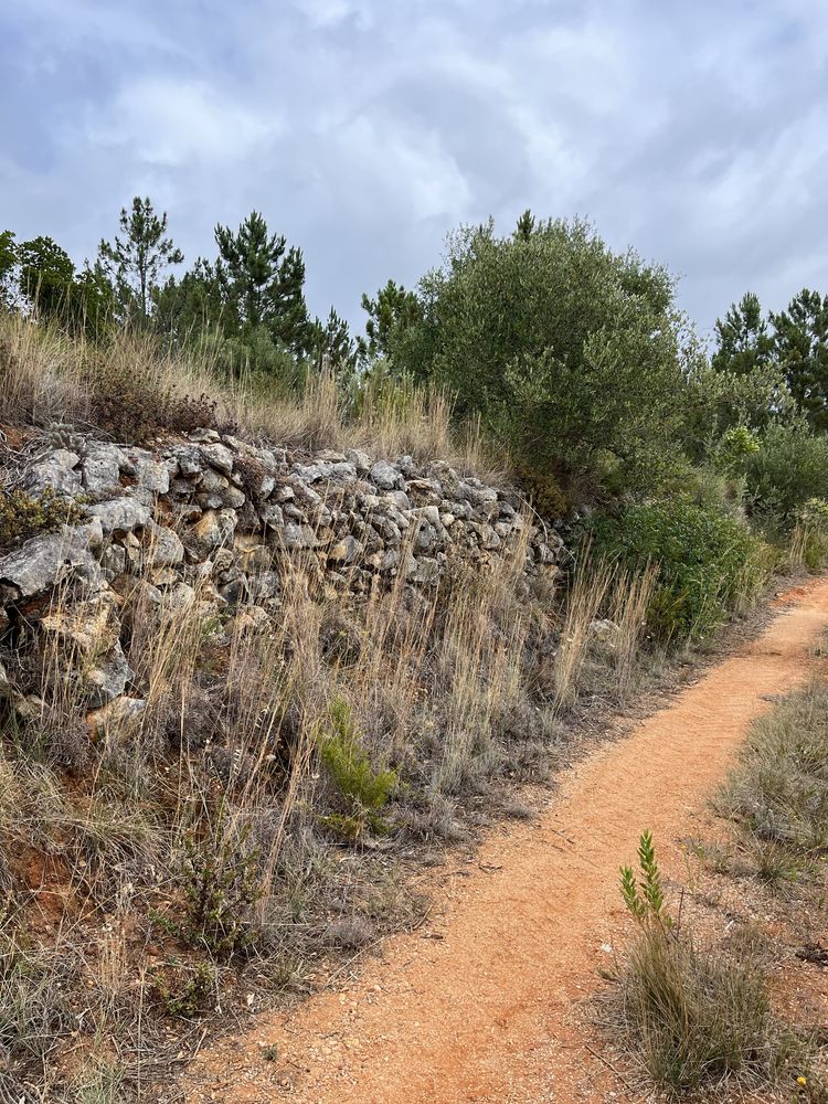 Terreno Rustico - Pedrogao - Serra de Aire e candeeiros
