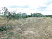 Terreno / Fundão, Alpedrinha
