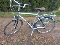 Rower męski Gazelle  karbonowe widelce