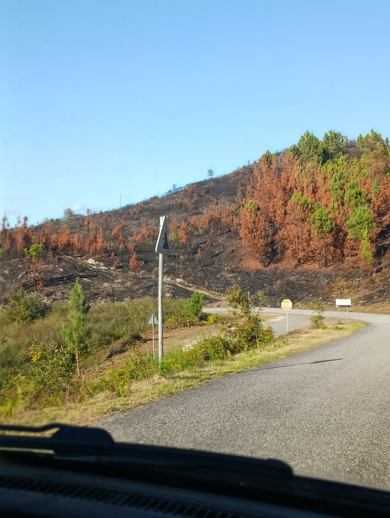 Limpeza de terrenos