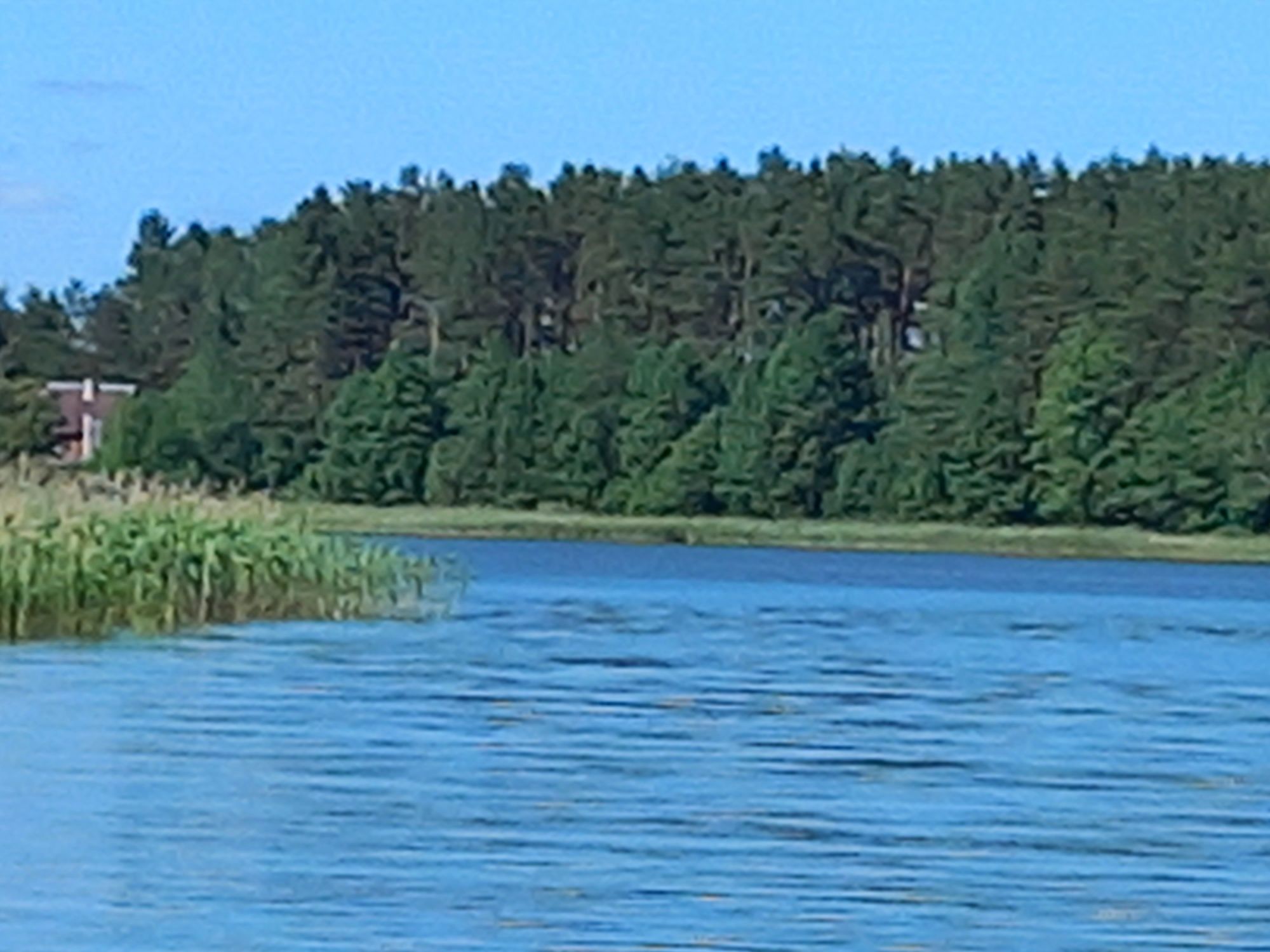 Wynajmę domek letniskowy na mazurach Kierwik