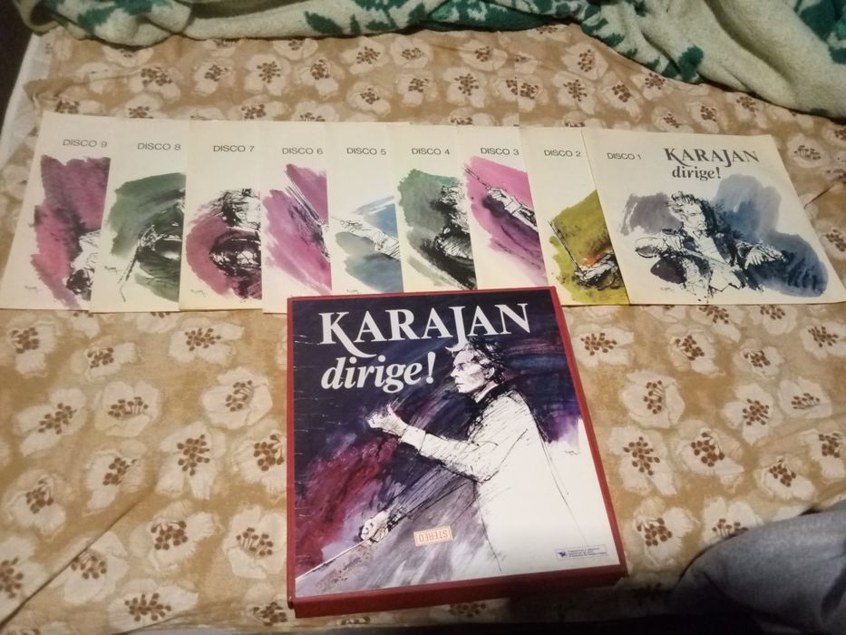 Várias coleções de vinil e vinis