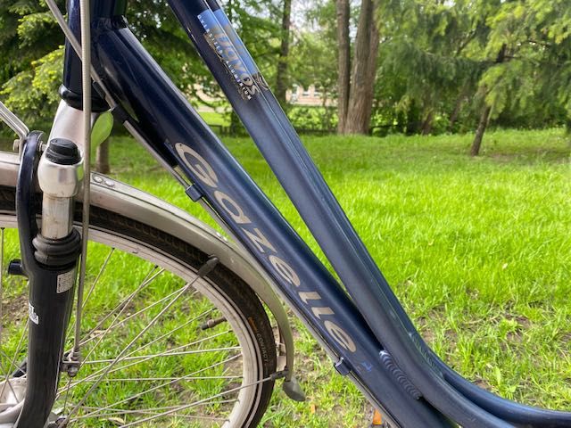 rower Gazelle Davos damka