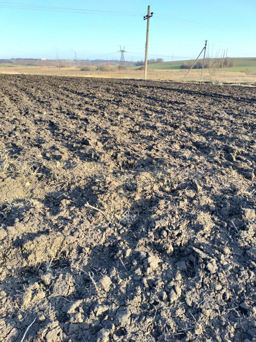 Земельні ділянки поруч з містом.