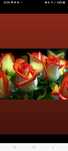 Massagens relaxantes