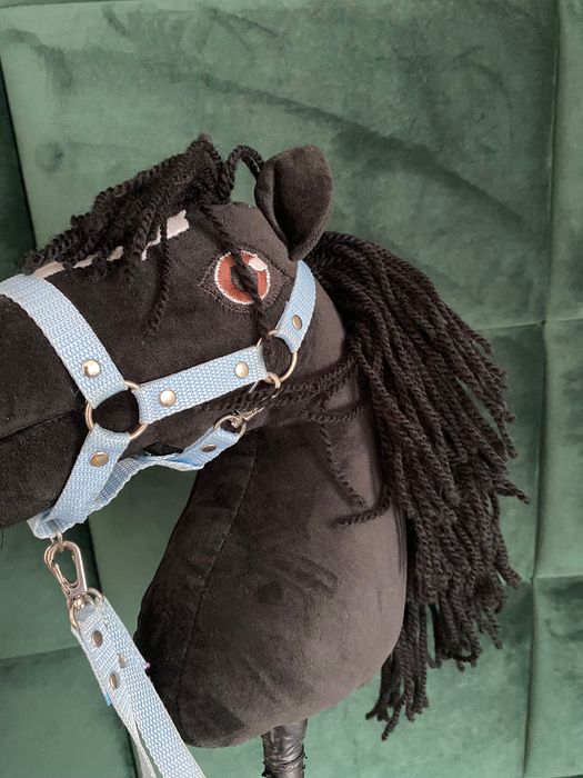 Hobby      horse