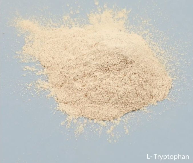 Tryptofan L-tryptofan paszowy 98% 500 g