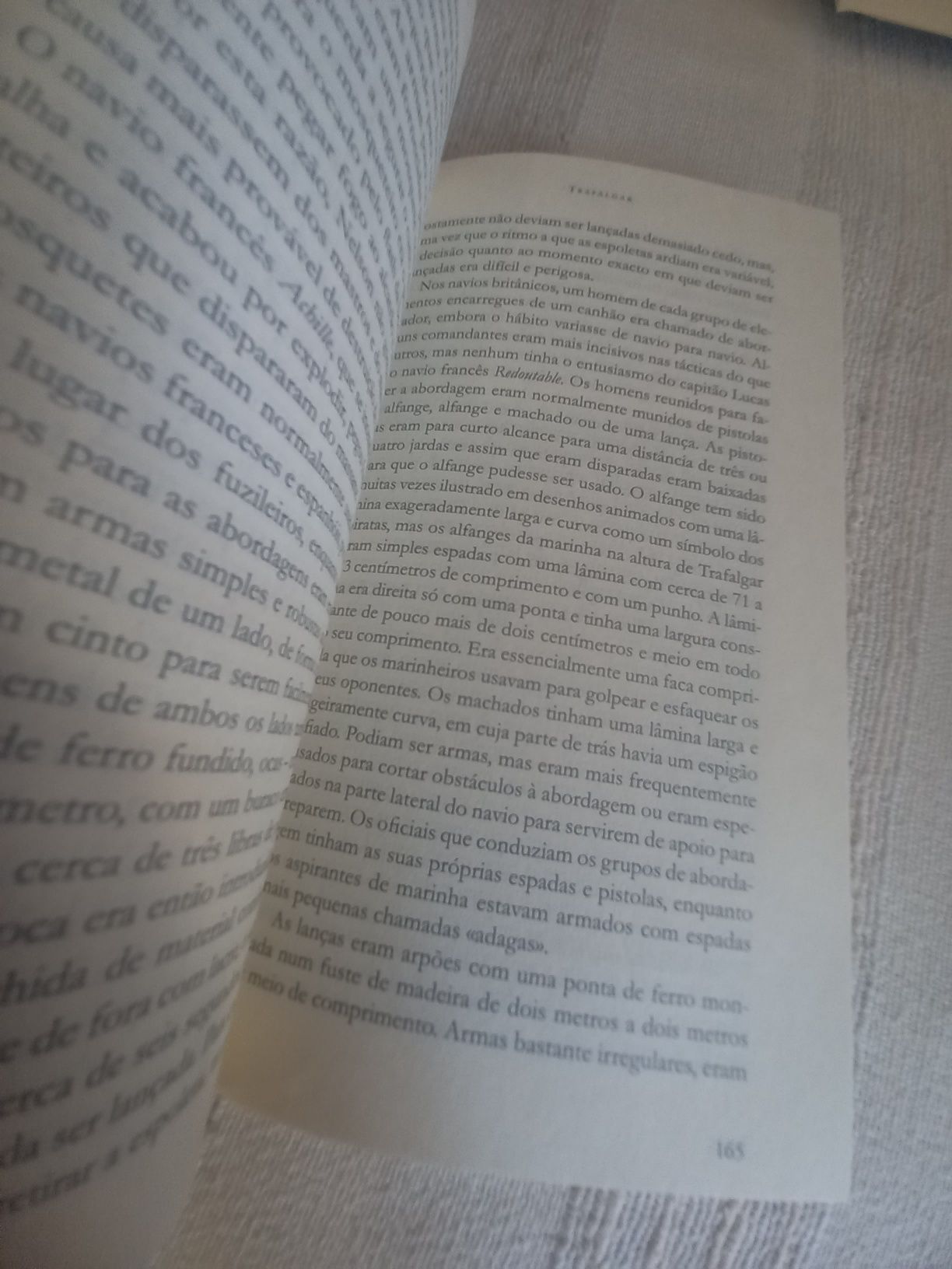 Trafalfar A Biografia de Uma Batalha