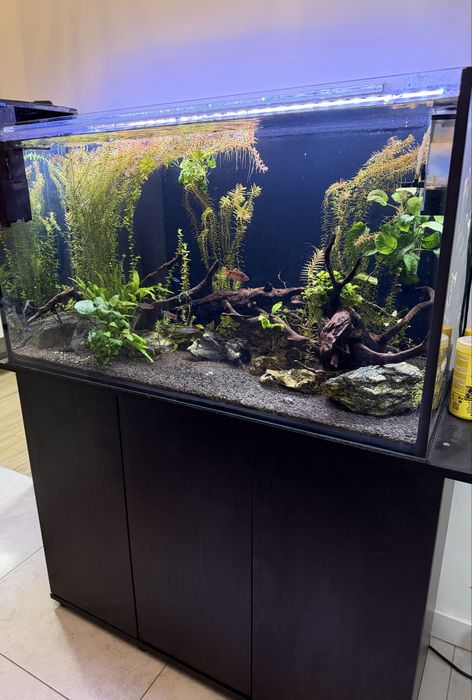 Akwarium 200l z szafa