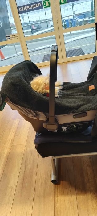 Ponczo samochodowe ortalionowe wiosna- jesień rozmiar S Tylem.pl