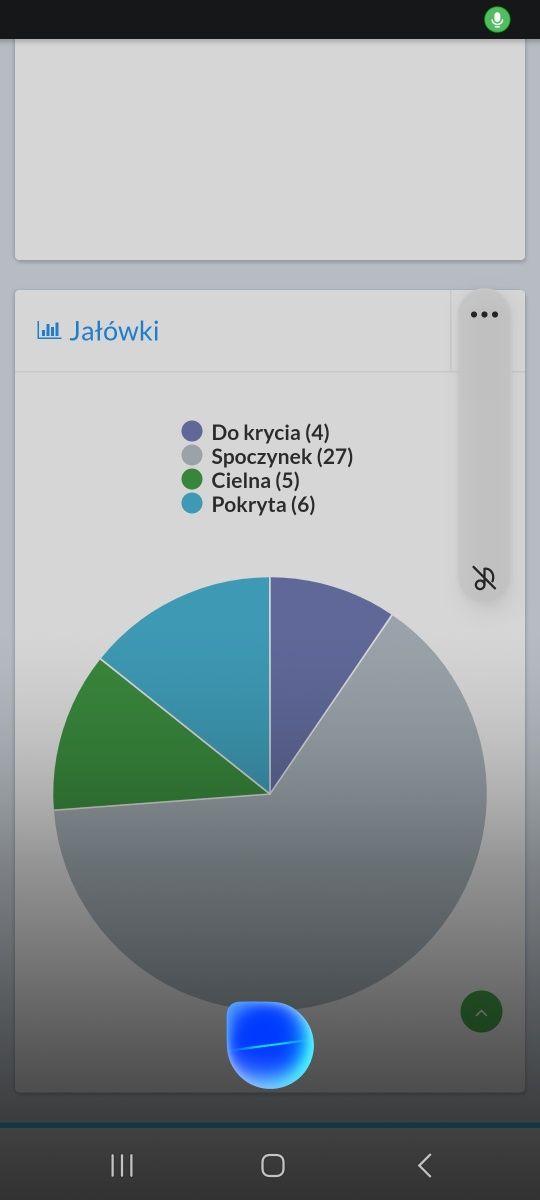 Jałówki hodowlane