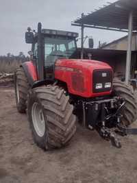 Massey Ferguson 8240 Sprowadzony