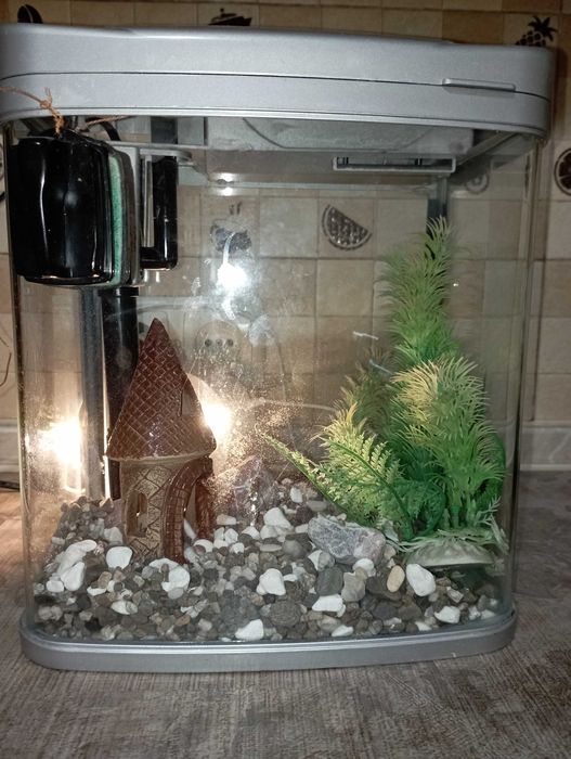 Акваріум 7 л з фільтром і декором