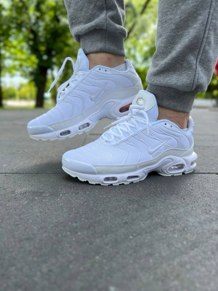 Кроссовки Nike Air Max Plus