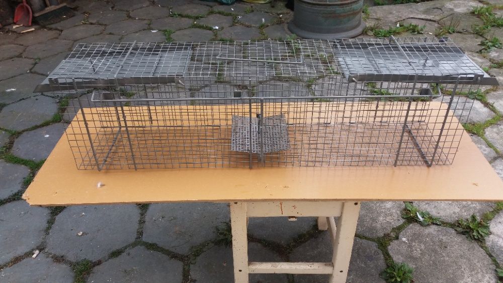 Klatka na szczury