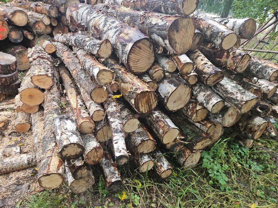 Sprzedam. Drewno grubą I galeziówkę