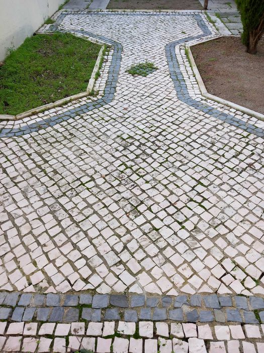 Pedra da calçada branca e negra