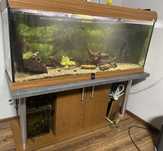 Akwarium Diversa 450