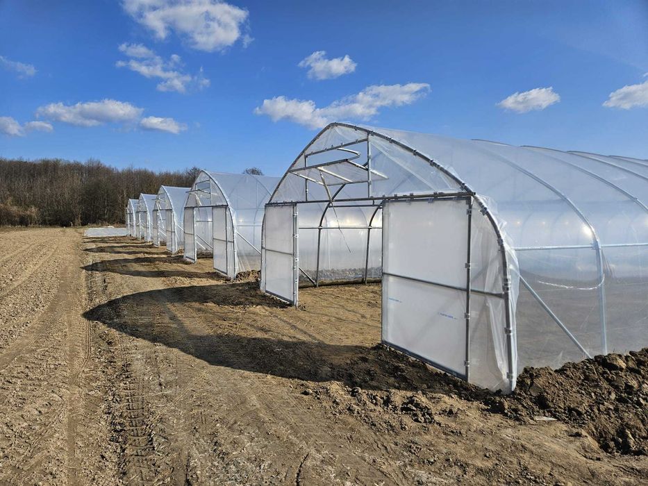 Tunel foliowy 7,5 lub 7m x 30 m gotyk