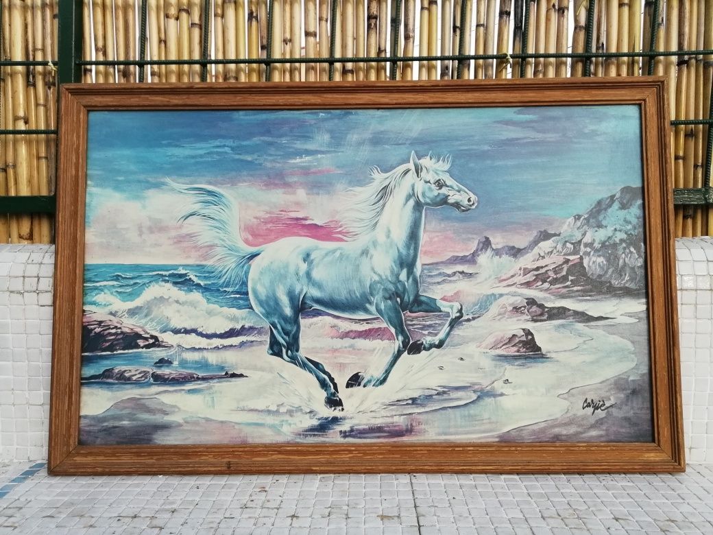 Quadro de Cavalo Branco Lindo