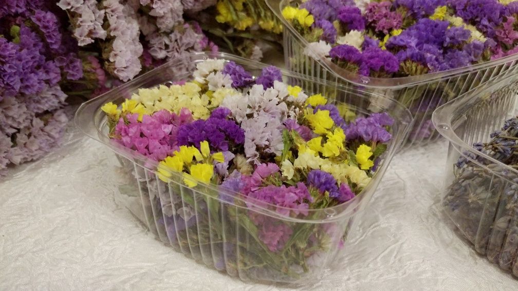 Сухоцвіти для handmade Сухоцветы для рукоделия Кермек Лаванда