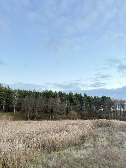 ‼️Дім, Якого Немає Аналогів. Ліс. Озеро. Ясногородка‼️