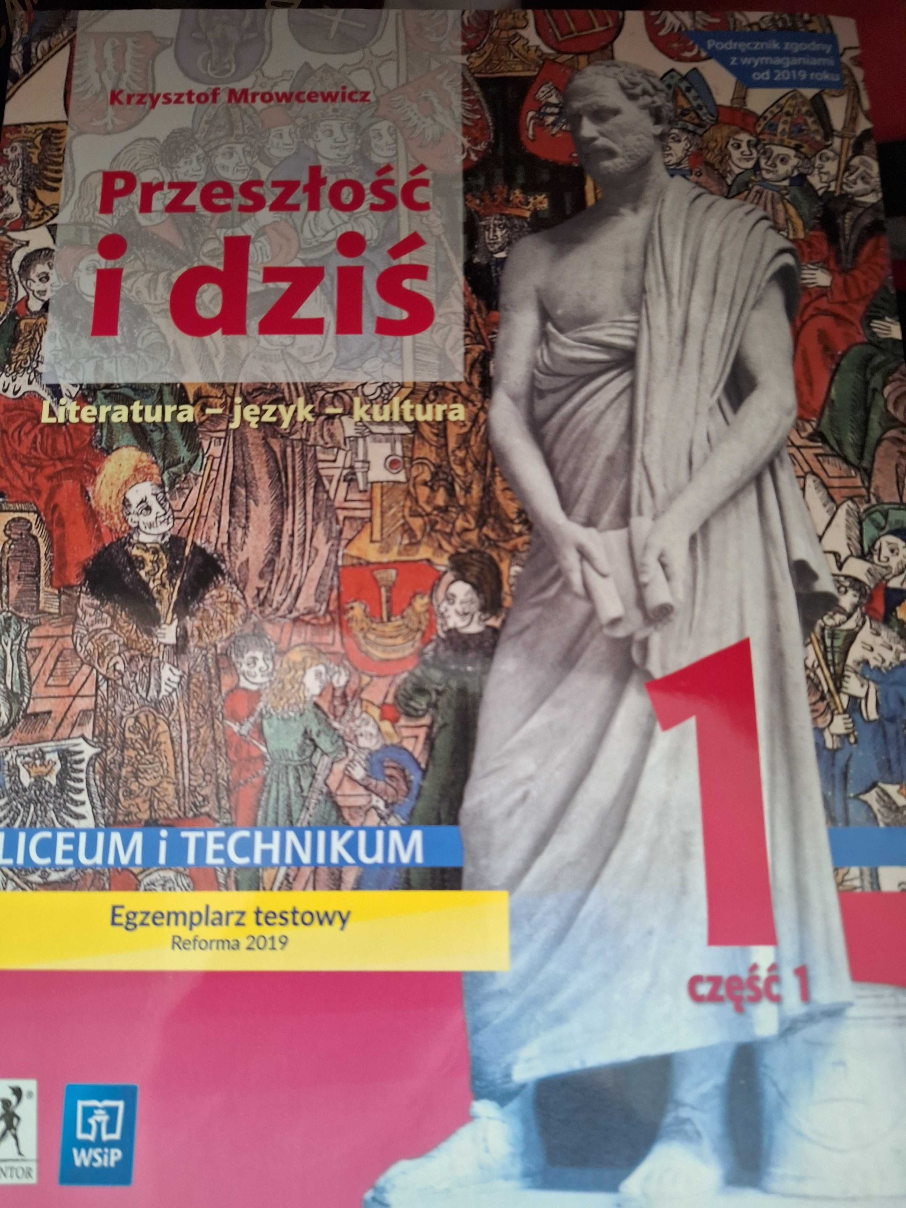 Przeszłość i dziś 1 Język polski WSiP