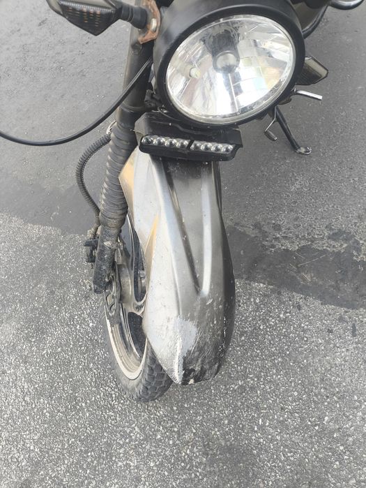 Mustang dingo 125