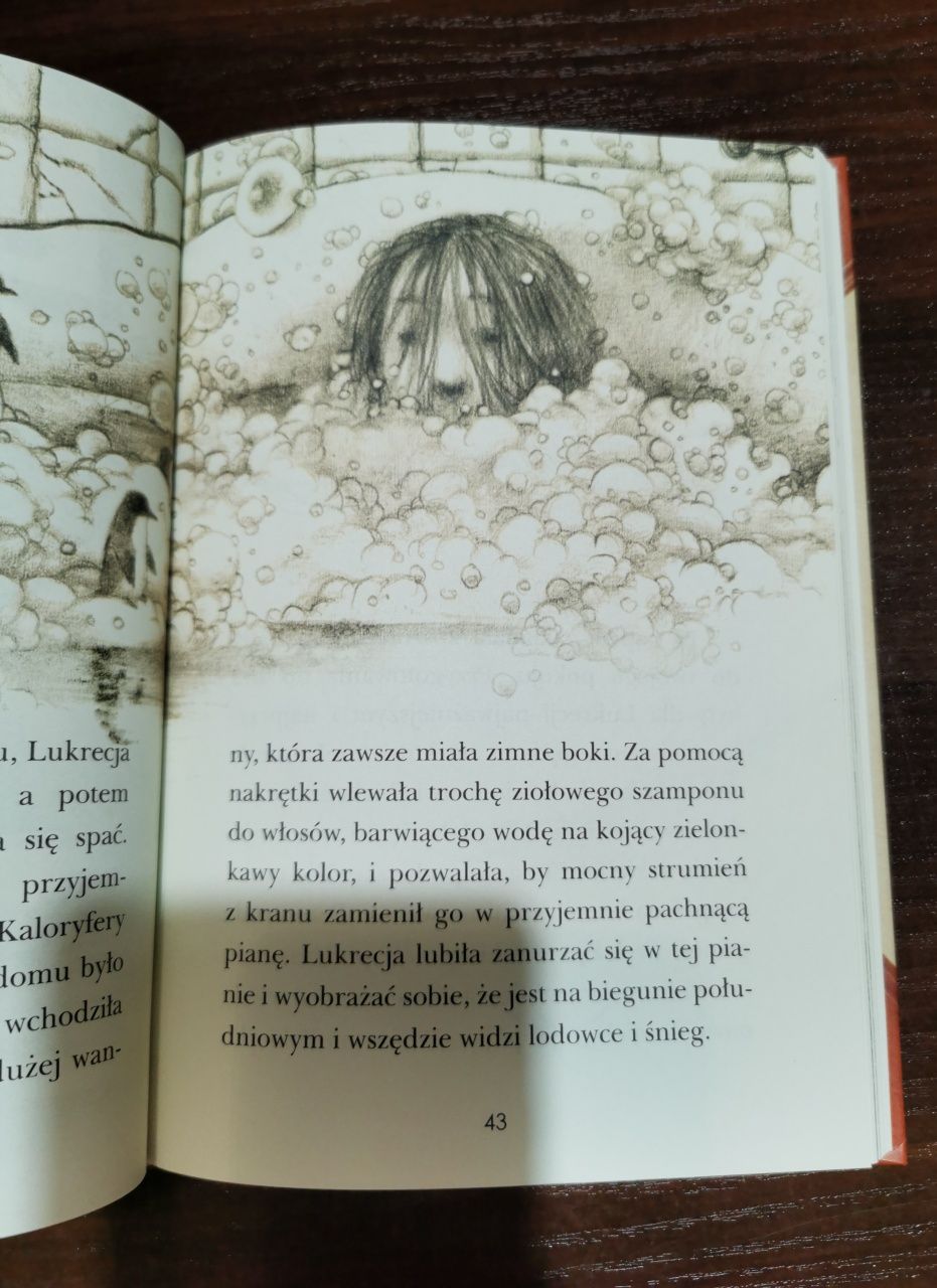 Labirynt Lukrecji Agnieszka Chylińska książka dla dzieci